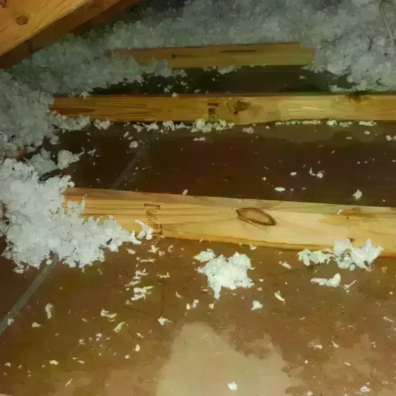 Attic Water Damage in Metter, GA