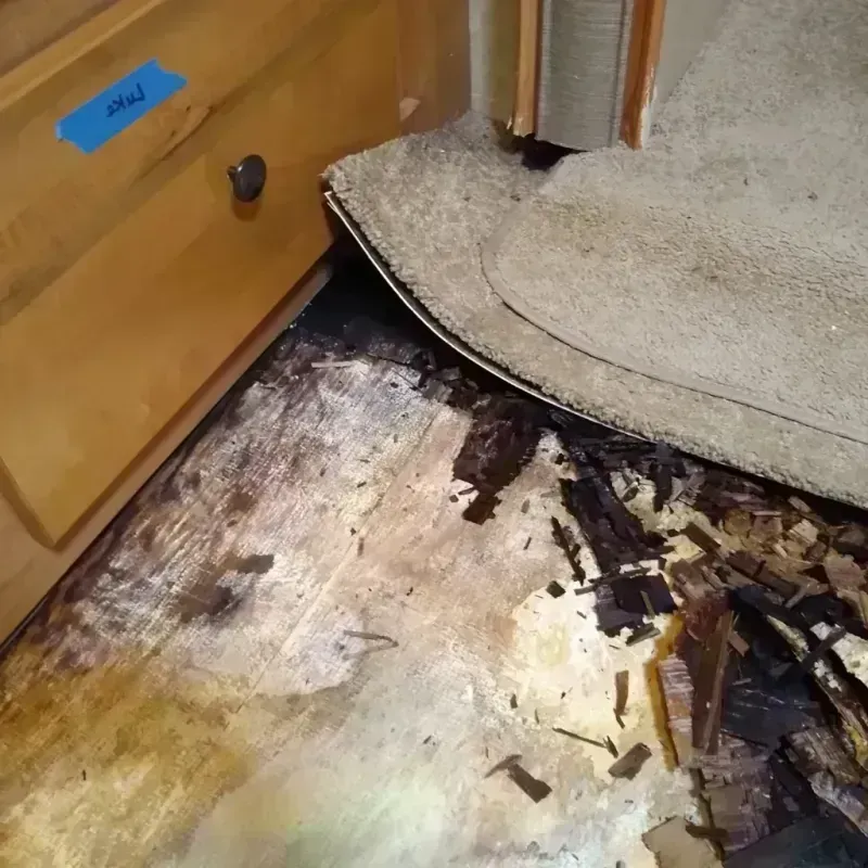 Best Wood Floor Water Damage Service in Metter, GA